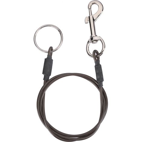 GARRYFIZH Laisse en câble d'acier gainé pour chien - Boucle unique pour bain, toilettage ou fixation - Robuste