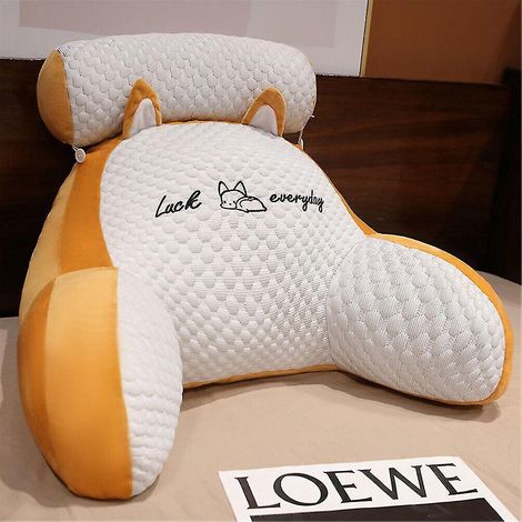 Coussin de lecture pour lit, soutien lombaire et dorsal, accoudoirs, coussin d'assise, coussin de relaxation Pad-A-Orange (1/5)