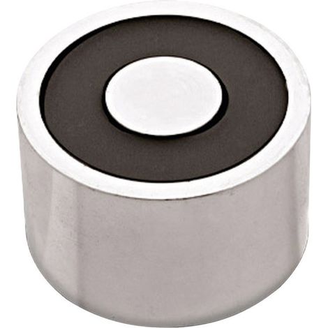 RED MAGNETICS Elektromagnet magnetisch (stromloser Zustand) 500 N 12 V/DC 39 W ITS-PE-5029-12VDC