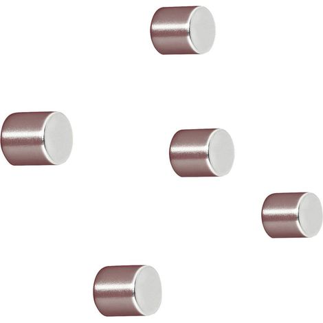 Sigel Magnete neodimio C5 Strong (Ø x A) 10 mm x 10 mm cilindro Argento 5 pz. BA700 (1/2)