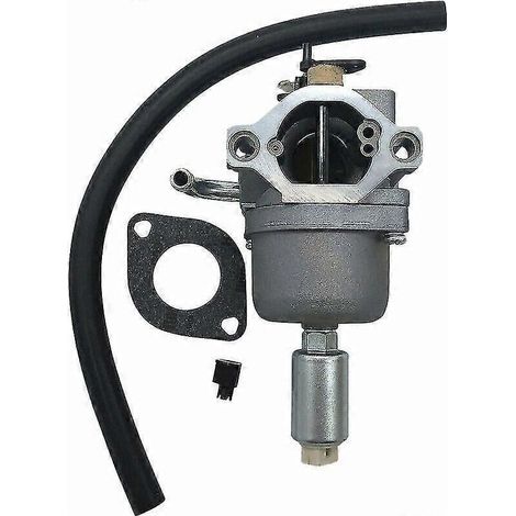 Vergaser für Briggs & Stratton Intek Motoren (14,5 bis 21 PS), Teilenummer 796109 591731 (1/5)