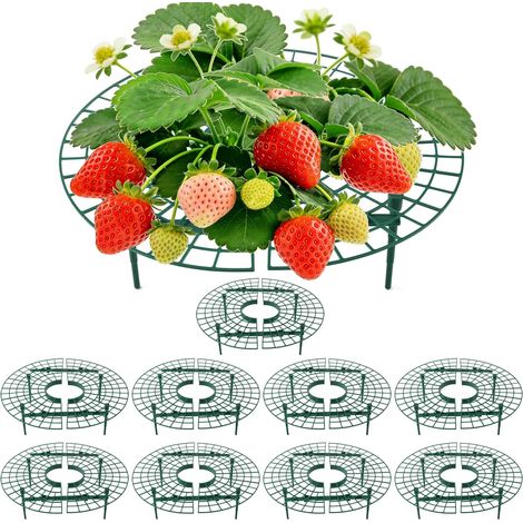10 pièces Support Fraises Rond – 4 Pieds, Anti-limaces & moisissure, Soutien Potager pour fraisiers, tomates, légumes, Plastique réutilisable