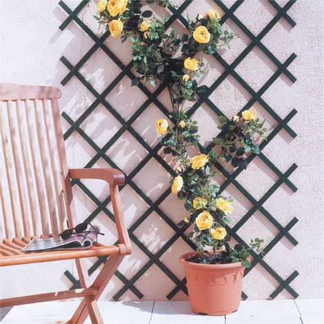 VERDELOOK ESTENSIBILE PLASTICA VERDE 100X200