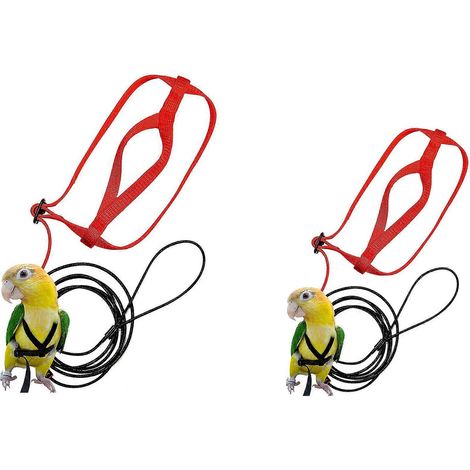2x animal oiseau harnais et laisse, réglable perroquet oiseau harnais laisse (XS et S) (1/5)