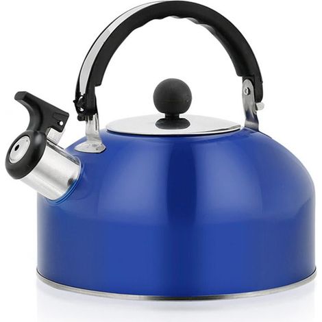 Bouilloire Siffleuse - Acier Inoxydable 410 - Capacité 3 L - Fond Plat - Pour Cuisinière Gaz Électrique Vitrocéramique - 1 Pièce (1/5)