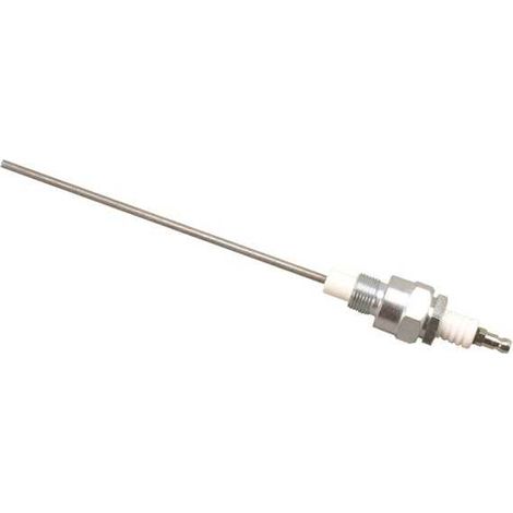 Electrode à vis 4 EN 300 NPT G1/2 LG 300 mm