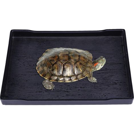 Bac à eau pour reptiles, bol carré en plastique antidérapant pour que les lézards puissent boire et manger (noir, taille L)-AquaForge (1/5)