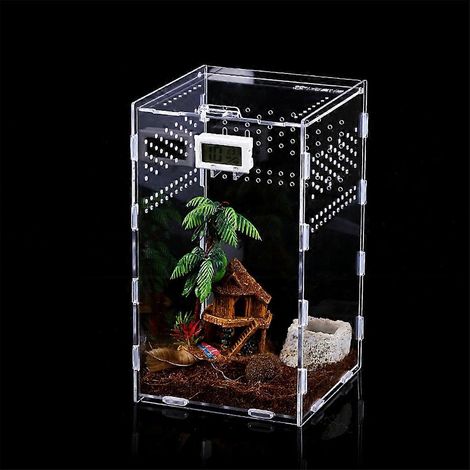 Boîte d'alimentation pour insectes en acrylique transparent pour l'élevage de petits reptiles 4 Si-L- (1/4)