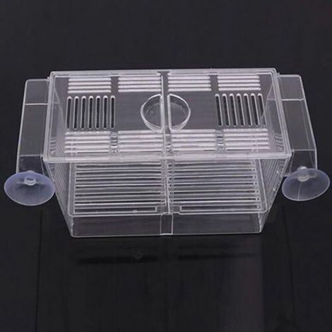 2-in-1 Schwimmbox, Fisch-Aquarium, Brutkasten (12 x 7 x 7 cm) - Fei Yu (1/5)