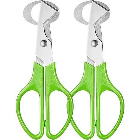 Ciseaux à Oeufs de Caille, Ciseaux à Œufs en Acier Inoxydable, Coupe-Coquille d'Oeuf, Oeuf Shell Cutter pour Couper les Œufs de Caille, Ouvre-Coquille d'Oeuf pour Maison, Cuisine, 2 Pièces (1/5)