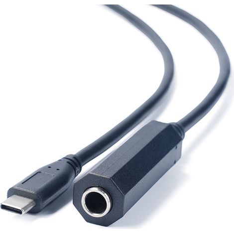 Geschirmtes digitales Audio-Adapterkabel Typ C auf 6,5 mm Buchse für Kopfhörer und Lautsprecher. (1/5)