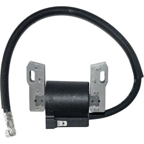 Bobine d'allumage pour moteurs Briggs & Stratton 591420 398593 496914 793281 792395, compatible tondeuses à gazon et machines de jardinage, 1 pièce (1/4)