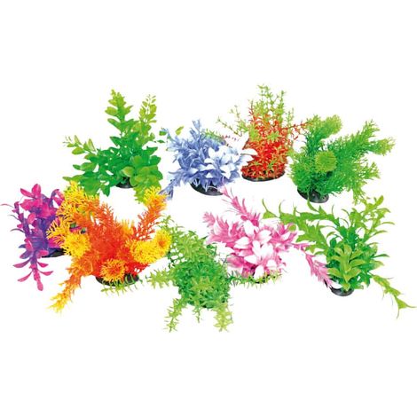Tropical Plant 14-17cm AMTRA