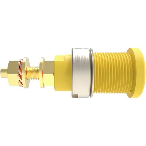 Schützinger DI SEB 6446 Au / GNGE Prise encastrée de sécurité vert-jaune 1 pc(s)