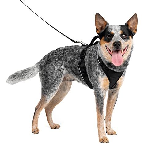 Pettorina modello Easy Sport per cani: M nero (1/4)