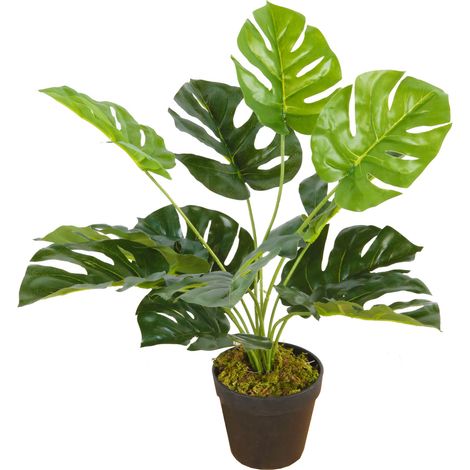 Künstliche Monstera Zimmerpflanze - 45 cm - Deko Kunstpflanze im schwarzen Blumentopf - Lochblatt Fenster Pflanze