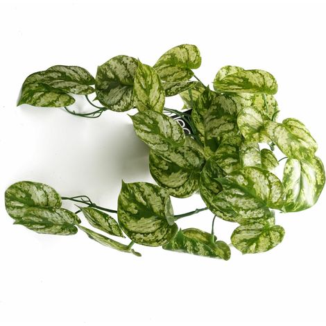 35cm Artificial Trailing Light Natural Look Plant Realistic (1/4)