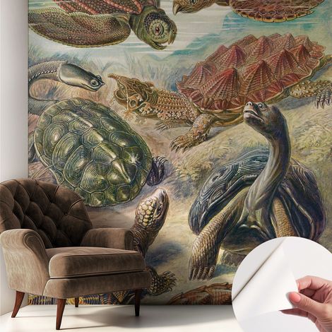 Selbsthaftend Tapete für Wohnzimmer Schlafzimmer Küche - Wanddekoration Schildkrötenfauna 250x250 cm (1/5)