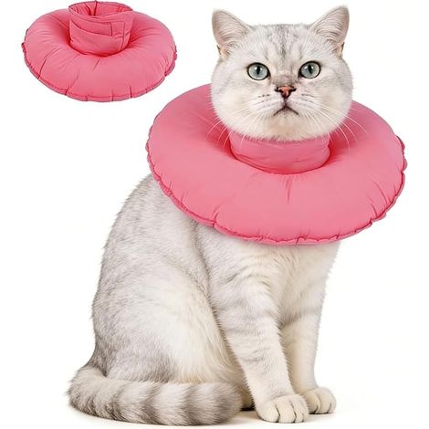 Collier conique chat (1/5)