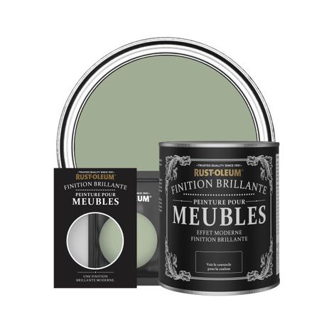 Peinture pour Meubles Brillante - Vert Kaki (1/3)