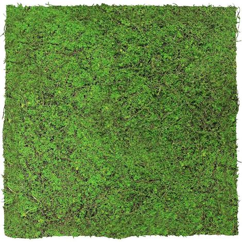 JANGAL Modular Wall Akustik 3D Paneele 520 x 520 mm Forest Green Ancient Tree Kunst Pflanzwand Naturfaser (1/5)