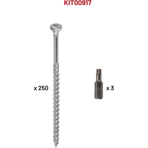 250 VBHT 8,0 x 100 + 3 emb TX40 (1/5)