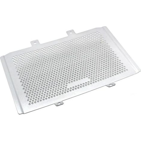 Protector delantero del motor, cubierta del ventilador, tapa de la rejilla del radiador para motocicleta MT450 MT 450 2024 - Plateado
