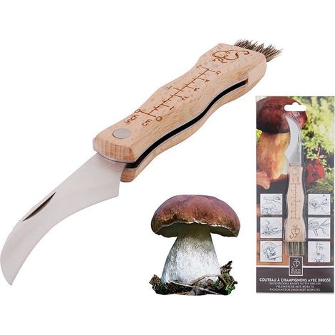 Esschert Design Pilzmesser mit Bürste - Edelstahl & Buchenholz