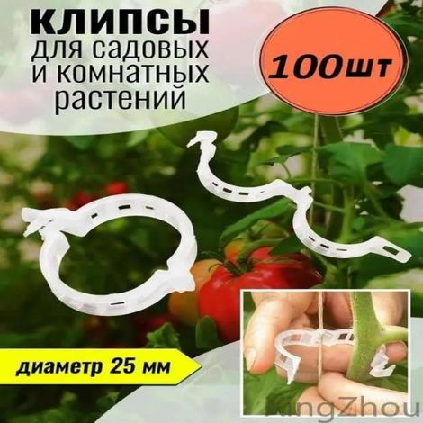 Clips pour plantes VineSecure - Lot de 100 (1/5)