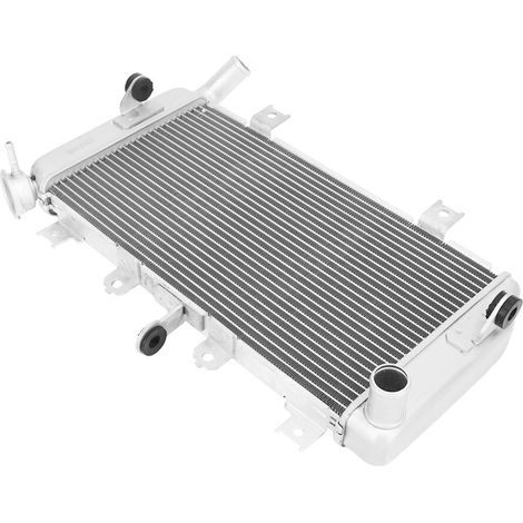 Serbatoio del liquido di raffreddamento in alluminio per Ninja 400 2018-2021
