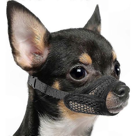 Weicher Netzmaulkorb für kleine und mittelgroße Hunde mit kurzer Schnauze, komfortabel und sicher bissfest, ideal für brachycephale Rassen. (1/5)