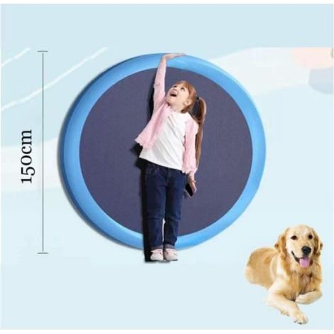 Piscine pour chiens - Noname - 150 cm - Pliable - Arroseur - Tapis de jeu anti-éclaboussures (1/4)