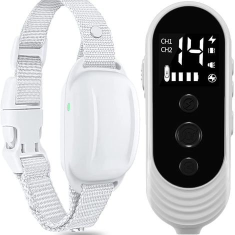 Collar Adiestramiento Perros 300m, Impermeable IP67, Recargable con Tonos y Vibración para 2 Mascotas – Ideal para Jardín y Bosque