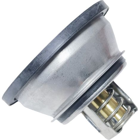 21613426 21412639 Automotive thermostats suitable for Volvo and Renault (1/4)