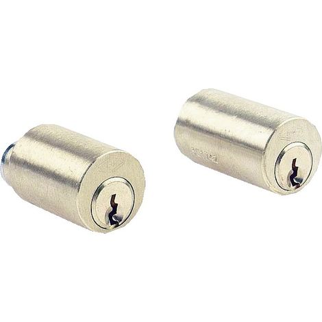 JPM – Cylindre de serrure 40mm laiton poli – 3 clés fournies – Compatible serrures VEGA – Diamètre 23mm – Protection contre l'usure