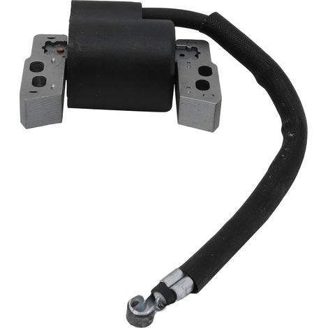 Bobine d'allumage de rechange pour outil de jardin 695711 802574 493237 796964 492416 (1/5)