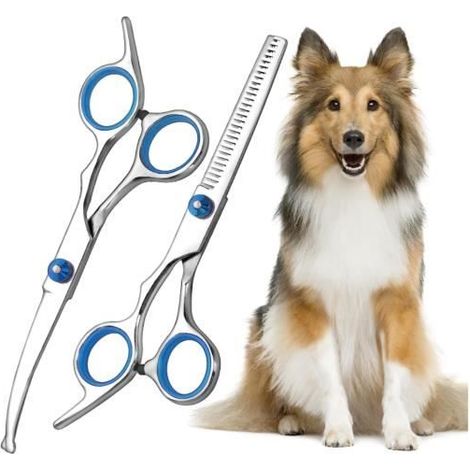 Ciseaux de Toilettage Pour Chiens - Pet Scissors - Ciseaux Courbés pour Chien - Ciseaux pour Animaux (1/4)