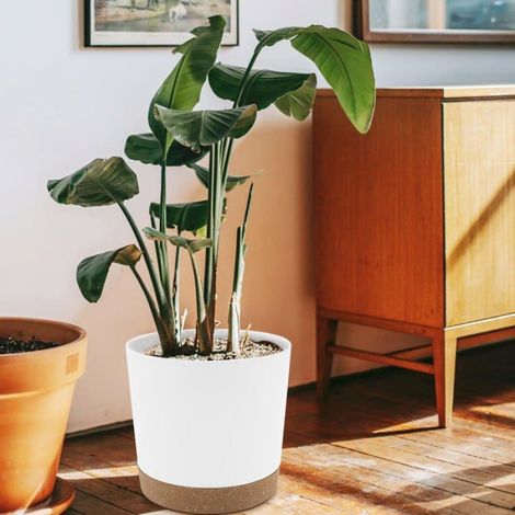 Lot de 2 pots,plastique,polypropylène,trous de drainage,soucoupe amovible,intérieur (1/5)