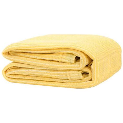 Tapis extérieur Tapis de tente Tapis de Camping 300x400 cm Beige 49844 (1/4)