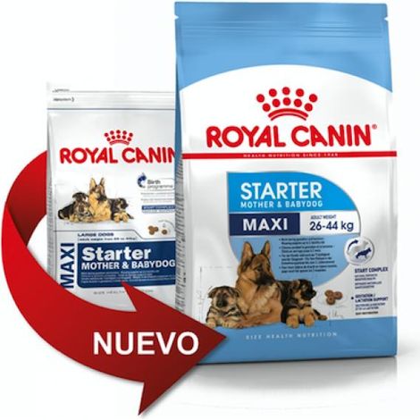 Pienso ROYAL CANIN MAXI STARTER cachorros tamaño grande (Hasta 2
