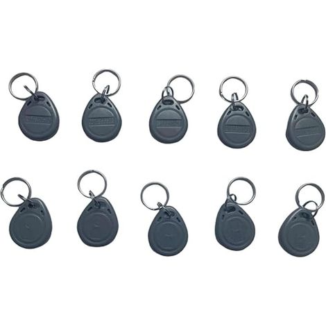 Lot de 10 porte-clés RFID 125 kHz avec étiquette RFID em4100 (gris) (1/5)