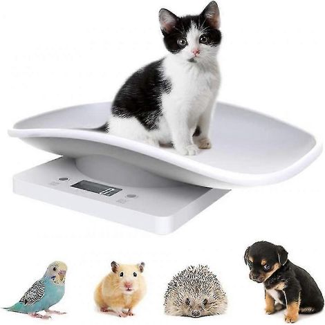 Balance électronique numérique pour animaux de compagnie, balance de cuisine avec écran LCD, 10 kg / 2