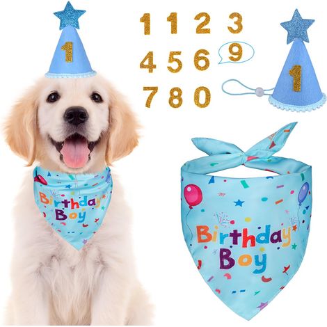 Ensemble bandana d'anniversaire pour chien et accessoires de fête – Inclut un chapeau d'anniversaire numéroté (bleu) (1/5)