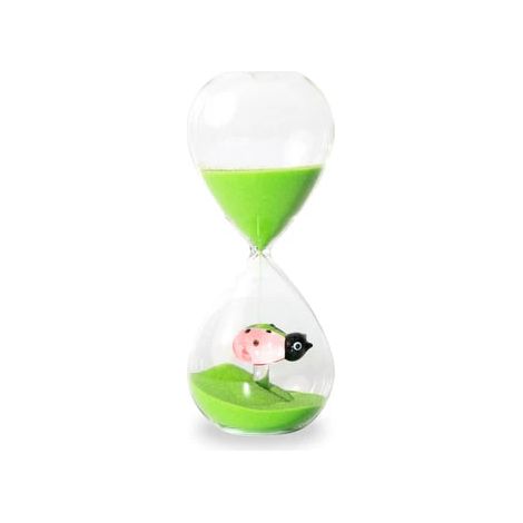 WD LifeStyle Clessidra in Vetro Borosilicato con Decoro interno Coccinella Verde Rosa