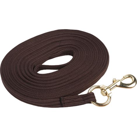 Corde d'entraînement pour chevaux de 8,2 m, poignée souple et confortable, avec attache rapide pour licol, marron. (1/5)