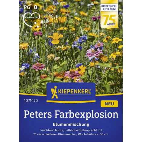 Kiepenkerl Profi-Line Blumensamen Blumenmischung Peters Farbexplosion 2 g für ca. 2 - 3 m² (1/2)