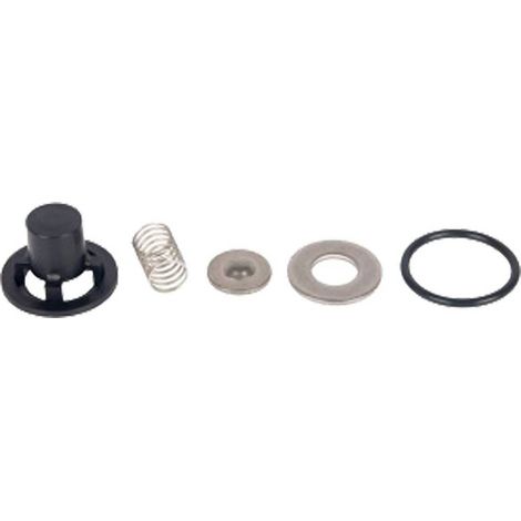 VALVOLE PER MOTOPOMPA IRRORATRICE kit 4 pezzi