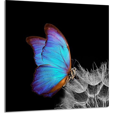 Panneau de verre pour cuisine 60x65 Papillon (1/5)