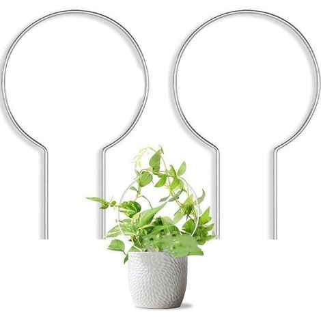 Set of 2 acrylic plant support frames for climbing plants to improve the growth of climbing plants and their presentation in gardens and homes (1/5)