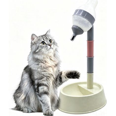 Gamelle d'eau pour chien et chat avec réservoir intégré - Abreuvoir surélevé et réglable - Distributeur d'eau automatique de 600 ml avec bec verseur anti-éclaboussures - Pour un museau sec et un pelag (1/5)